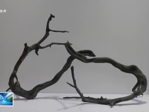 第十五屆“兩岸漢字藝術節”在白水開幕