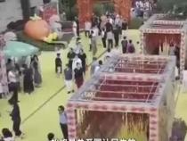 誰來養(yǎng)活中國？總書記給出堅定回答