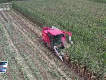 10月17日臨渭新聞