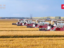 【習聲回響】科技興農 將飯碗牢牢端在自己手里