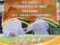 聯(lián)播+｜強農報國 天地廣闊