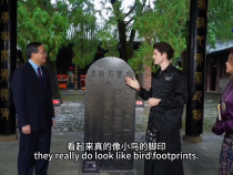 一筆一世界——探尋漢字起源之謎