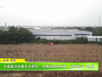 大荔縣許莊鎮東大壕村：搶晴戰陰保秋收 收獲烘干一條龍