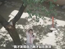 陜西人的三個家——大地扎向天空的根