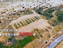 經緯線·綠色回響