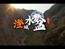 【澄城水盆 名“羊”天下】澄城水盆羊肉發展篇