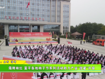 霜降柿紅 富平各地柿子節系列活動助力產業“甜蜜”升級