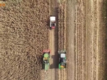 總書記的關切·落地的回響 | 保護黑土地 大國糧倉更穩固