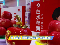 【聚焦農高會】鏈上發力 渭南現代農業“串珠成鏈”