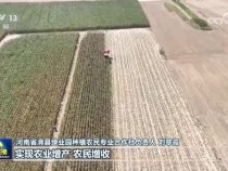 為基本實現社會主義現代化而接續奮斗