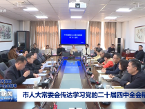 市人大常委會傳達學習黨的二十屆四中全會精神