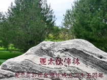 拾光紀·堅韌長久！習主席等十余年前種下的APEC亞太伙伴林郁郁蔥蔥