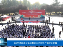 2025澄城水盆羊肉暨地方名優特產博覽會開幕