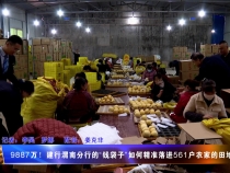 東秦金融||9887萬！建行渭南分行的“錢袋子”如何精準落進561戶農(nóng)家的田地里