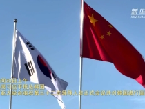 國家主席習近平抵達韓國，將出席亞太經合組織第三十二次領導人非正式會議并對韓國進行國事訪問