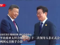 習近平同韓國總統李在明握手合影