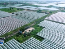 臨渭區(qū)農(nóng)文旅融合發(fā)展工作成效顯著