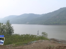 10月31日臨渭新聞