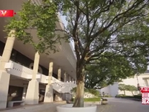 大國外交最前線丨走！見證一場氛圍感拉滿的歡迎儀式