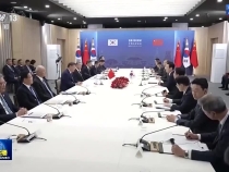 △視頻丨習(xí)近平同韓國(guó)總統(tǒng)會(huì)談