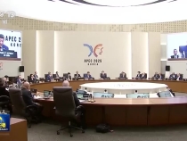 △視頻丨習(xí)近平繼續(xù)出席亞太經(jīng)合組織第三十二次領(lǐng)導(dǎo)人非正式會(huì)議