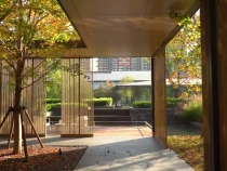 當(dāng)上上玫瑰園遇上秋天，最期待的美景來(lái)了!