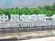 中國(guó)咖啡第一村為啥能闖出世界“咖位”？