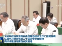習(xí)近平：認(rèn)真學(xué)習(xí)貫徹黨的二十屆四中全會(huì)精神 高標(biāo)準(zhǔn)建設(shè)海南自由貿(mào)易港
