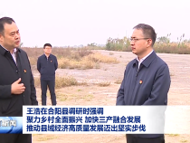 王浩在合陽(yáng)縣調(diào)研時(shí)強(qiáng)調(diào) 聚力鄉(xiāng)村全面振興  加快三產(chǎn)融合發(fā)展 推動(dòng)縣域經(jīng)濟(jì)高質(zhì)量發(fā)展邁出堅(jiān)實(shí)步伐