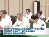 高標(biāo)準(zhǔn)建設(shè)海南自由貿(mào)易港