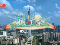 時(shí)政微視頻丨瞰廣東