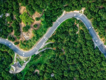 時(shí)政畫說丨柚見豐年