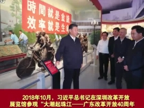 近鏡頭｜總書記情牽南粵大地