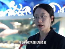 經(jīng)緯線·跟著全運會吉祥物 打卡萬物共生的世界級灣區(qū)