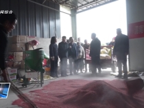 11月12日臨渭新聞