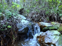 渭南市澗峪水庫：一年好景君須記 最是橙黃橘綠時