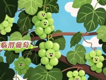 陜西渭南現(xiàn)代農(nóng)業(yè)發(fā)展如何？AI幾句話就說清楚了！