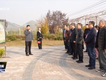 臨渭區人大視察區十九屆人大四次會議代表建議辦理情況