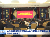 全市黨建引領(lǐng)基層治理綜治中心規(guī)范化建設(shè)現(xiàn)場(chǎng)推進(jìn)會(huì)召開 王心參加并講話