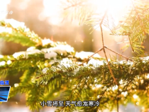 【健康臨渭】小雪溫養正當時