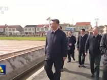 扎實推進鄉(xiāng)村建設(shè) 繪就和美鄉(xiāng)村新畫卷