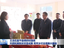 王浩在富平縣調(diào)研時(shí)強(qiáng)調(diào) 鞏固拓展脫貧攻堅(jiān)成果 筑牢鄉(xiāng)村全面振興基礎(chǔ)
