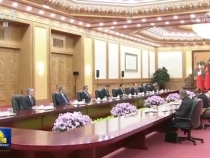 習(xí)近平會(huì)見(jiàn)湯加國(guó)王圖普六世