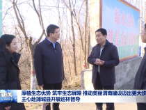 厚植生態優勢 筑牢生態屏障 推動美麗渭南建設邁出更大步伐 王心赴蒲城縣開展巡林督導