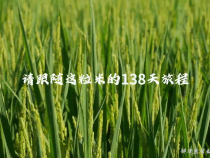 節約糧食 從你我做起