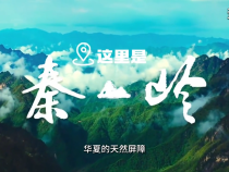保護秦嶺環(huán)境 守護綠水青山