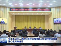 全市未成年人違法犯罪預防和治理工作視頻會議召開 王心出席并講話