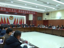 臨渭區政協召開“十五五”規劃建言獻策協商會
