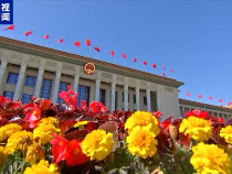 藍廳觀察丨時隔20年中國發布新版軍控白皮書 傳遞怎樣的信息