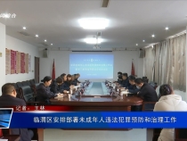 臨渭區安排部署未成年人違法犯罪預防和治理工作